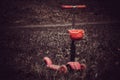 Loneliness concept alone solitude sad abstract scooter in a park on summer day. Preschooler riding a roller. Kids play outdoors wi Royalty Free Stock Photo