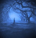 Loneliness in twilight forest Royalty Free Stock Photo