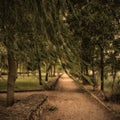 melancholic landscape, loneliness park autumn Royalty Free Stock Photo