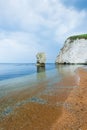lonelly rock formation at coastline in Dorset Royalty Free Stock Photo