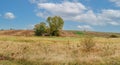 Lonely abandoned hut among grass and trees in a field. Rural landscape. Sky background