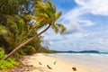 Lonely abandoned tropical beach