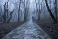 Lonely adult woman walking in autumn park in mysty morning Royalty Free Stock Photo