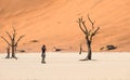 Lonely adventure travel photographer at Deadvlei crater in Sossusvlei Royalty Free Stock Photo