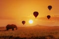 Lonely african elephant against the sky with balloons at sunset. African fantastic image. Africa, Tanzania, Serengeti National Pa Royalty Free Stock Photo