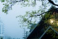 Lonely ancient house covered with mist and fog in a spring morning. Tourist attractions in Tam Dao, Vinh Phuc, Vietnam