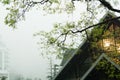 Lonely ancient house covered with mist and fog in a spring morning. Tourist attractions in Tam Dao, Vinh Phuc, Vietnam