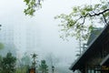 Lonely ancient house covered with mist and fog in a spring morning. Tourist attractions in Tam Dao, Vinh Phuc, Vietnam
