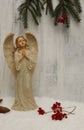 Lonely angel prayer Royalty Free Stock Photo