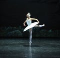 The lonely Aojita-The Swan Lakeside-ballet Swan Lake