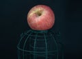 A lonely apple put on a green cage on Dark background