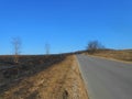 Lonely road with same trees. Royalty Free Stock Photo