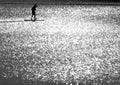 Lonely athlete on the lake in the midst of thousands of glittering points in black and white