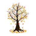 Lonely autumn tree losing leaves. Isolated vector