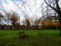 Lonely banch in the autumn park Royalty Free Stock Photo
