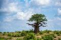 A lonely baobab tree On the top of Slope against cloudy sky background. Arusha Region, Tanzania, Africa Royalty Free Stock Photo