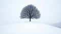Lonely Bare Deciduous Tree Standing Majestically in a Snow-Covered Winter Landscape Under Clear Sky Royalty Free Stock Photo