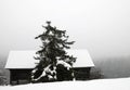 Lonely barn covered with snow