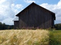 A lonely barn in a wheat field