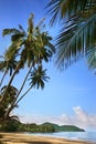 Lonely beach with golden sand, green palm trees, blue sea, sunny sky, white clouds background Royalty Free Stock Photo