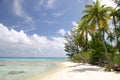 Lonely beach on Rangiroa island Royalty Free Stock Photo