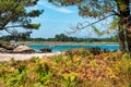 Lonely beach in the Rias Baixas, Galicia Royalty Free Stock Photo