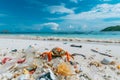 Lonely Beach Stroll: Hermit Crab Amidst Plastic Menace.