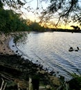 Lonely beach during sunset