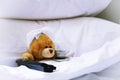 Lonely bear in bed