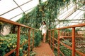 A lonely beautiful girl with multi-colored dreadlocks in a white dress stands on a red stairs in an arch of flowers. Greenhouse