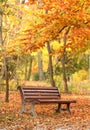 Lonely bench