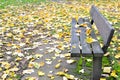 Lonely bench in autumn park Royalty Free Stock Photo
