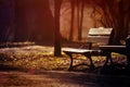 Lonely Bench in the Evening Park Royalty Free Stock Photo