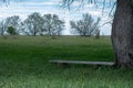 Lonely bench in the field under shadow of tree crown. quiet place, face to face alone. calmness and relaxation Royalty Free Stock Photo