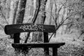 Lonely bench in the forest, it is scribbled, the picture is black and white Royalty Free Stock Photo