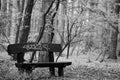 Lonely bench in the forest, it is scribbled, the picture is black and white Royalty Free Stock Photo