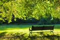 Lonely bench on the lawn Royalty Free Stock Photo