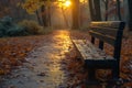 Lonely bench littered with wet autumn leaves in a city park Royalty Free Stock Photo
