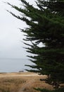 Lonely bench, Monterey Bay Royalty Free Stock Photo