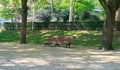 Lonely bench in a park Royalty Free Stock Photo