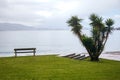 Lonely bench on the shore of the Atlantic Ocean, near the palm trees and beautiful green lawn, Spain, mountain view Royalty Free Stock Photo