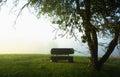 Lonely bench under the apple tree in foggy morning Royalty Free Stock Photo