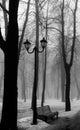 Lonely bench in winter park Royalty Free Stock Photo