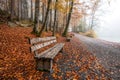 Lonely Benches