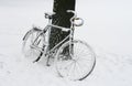 Lonely bicycle covered by snow.