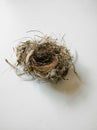 A bird`s nest on the floor