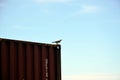 Bird seating on the container.