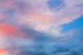 Lonely bird soaring freely in the clouds Royalty Free Stock Photo