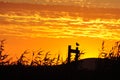 Lonely bird at sunset