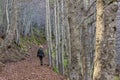 A lonely blonde woman walks in a forest on a carpet of dry leaves in the autumn season, Lago Santo Modenese, Italy